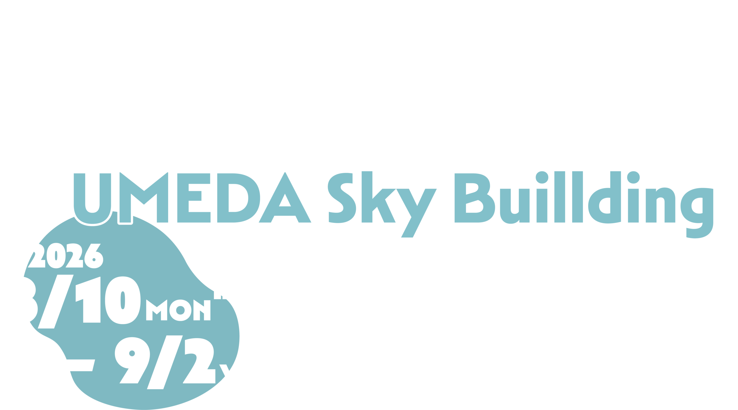 アセット 11
